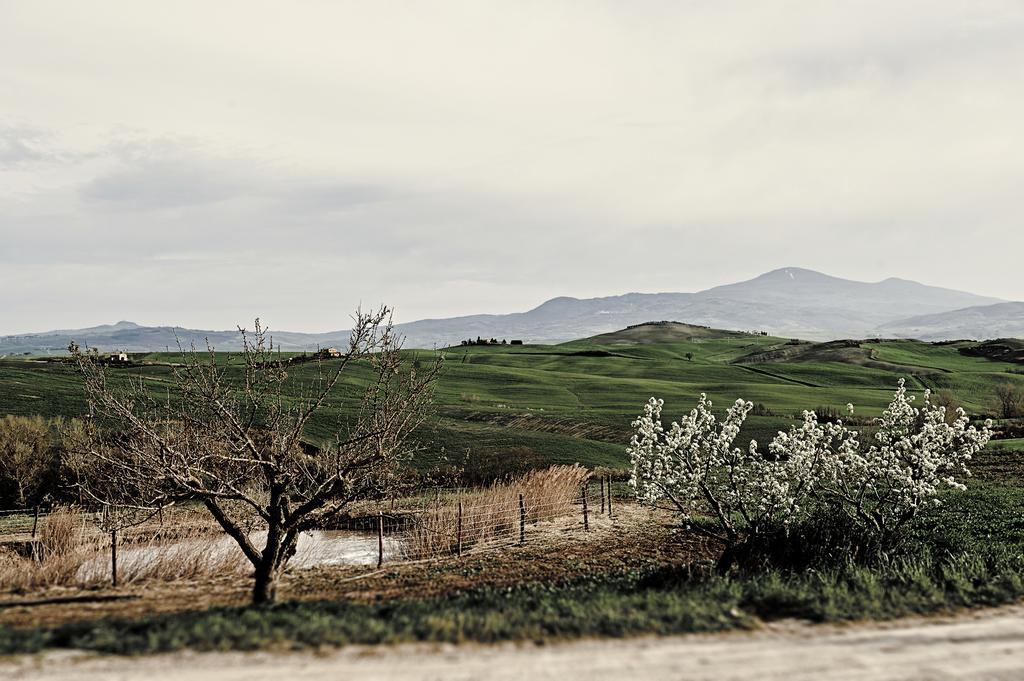 Il Casalino Séjour à la ferme *