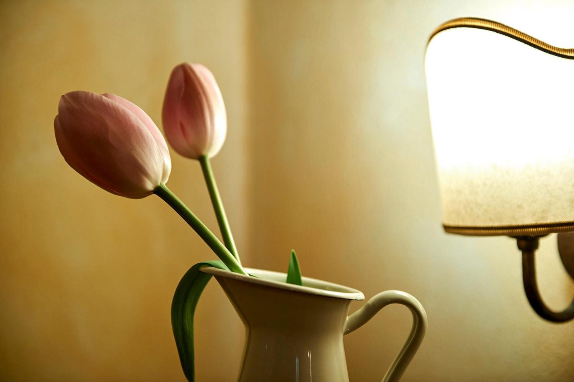 Farm stay Il Casalino *