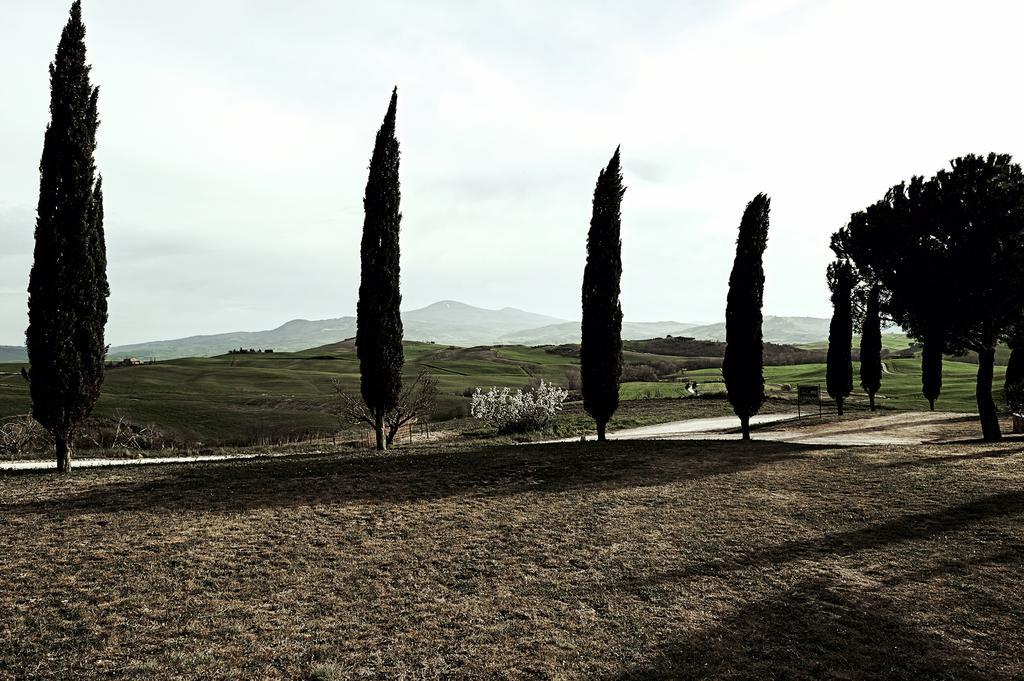Farm stay Il Casalino Pienza